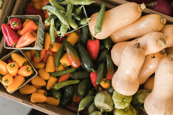 hobe-sound-farmers-market-8930-FRESH-PRODUCE-11.29.21.jpg